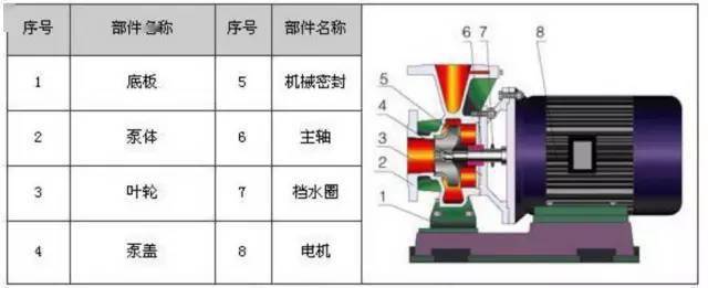 中开泵两侧的轴承